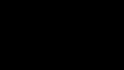 19029